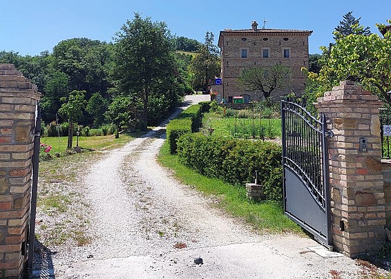 IL CIOTTONE