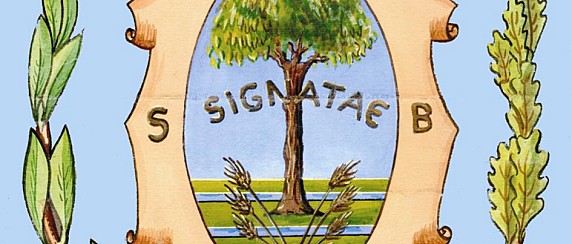 Consiglio comunale
