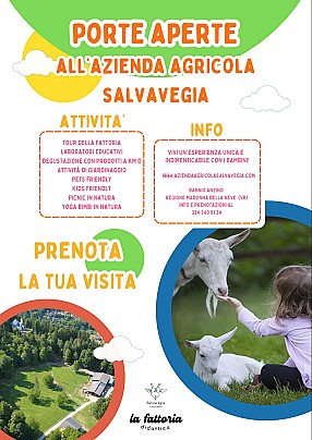 Visira azienda 