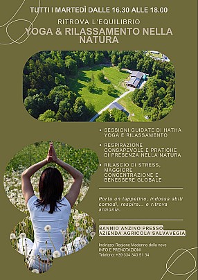 Yoga martedì 