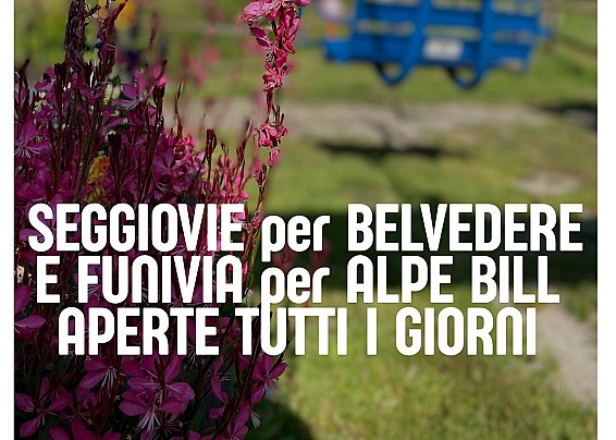 Immagine non trovata
