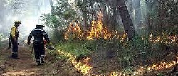 AVVISO alla cittadinanza  Ricognizione dei danni conseguenti al recente incendio