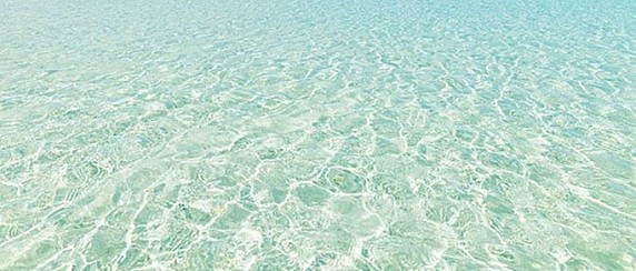 Spiaggia day 2026