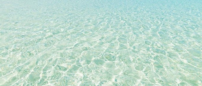 Immagine principale