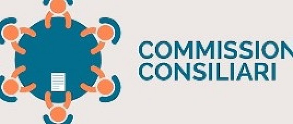 Commissione consiliare 5 "Sostenibilità, bilancio e innovazione digitale"