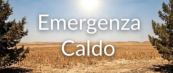 Stop alle attività esposte al sole nei giorni con rischio caldo “alto”