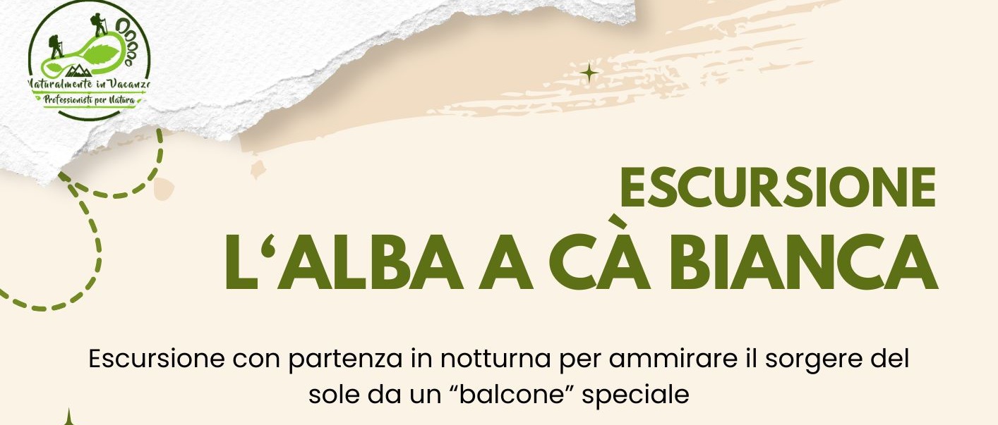 Immagine principale