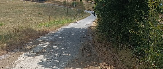 Avviso alla Cittadinanza