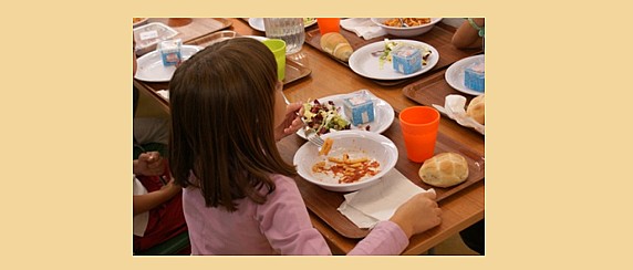 domanda per l'applicazione di tariffa agevolata per il servizio di ristorazione scolastica