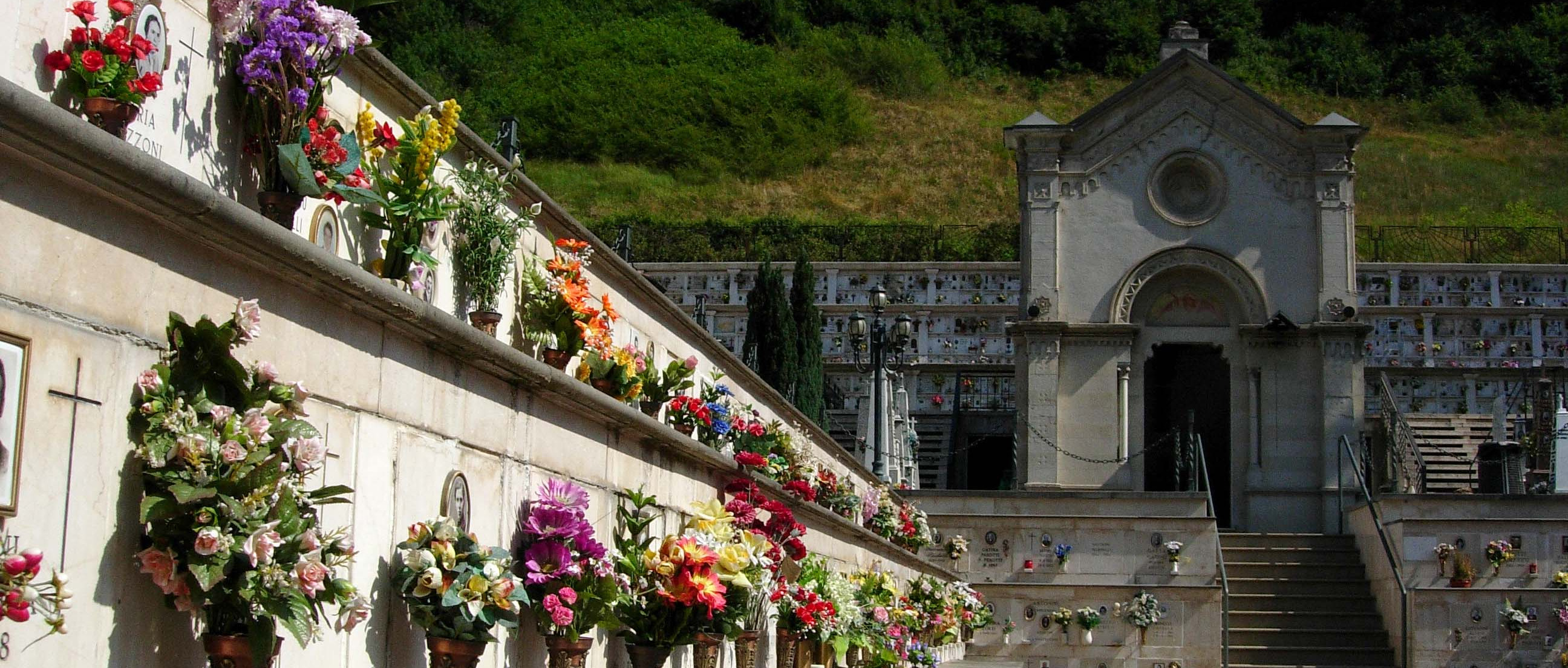 Immagine principale