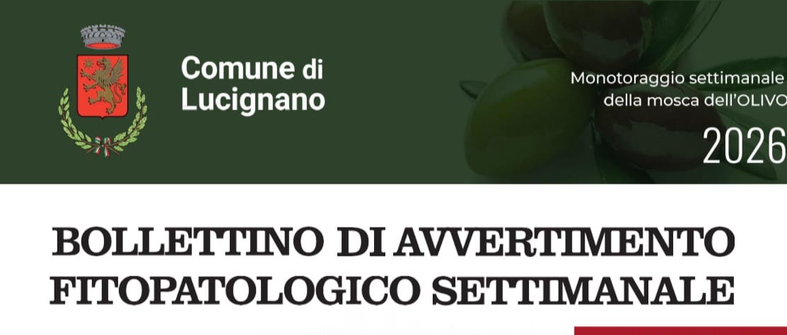 Immagine principale