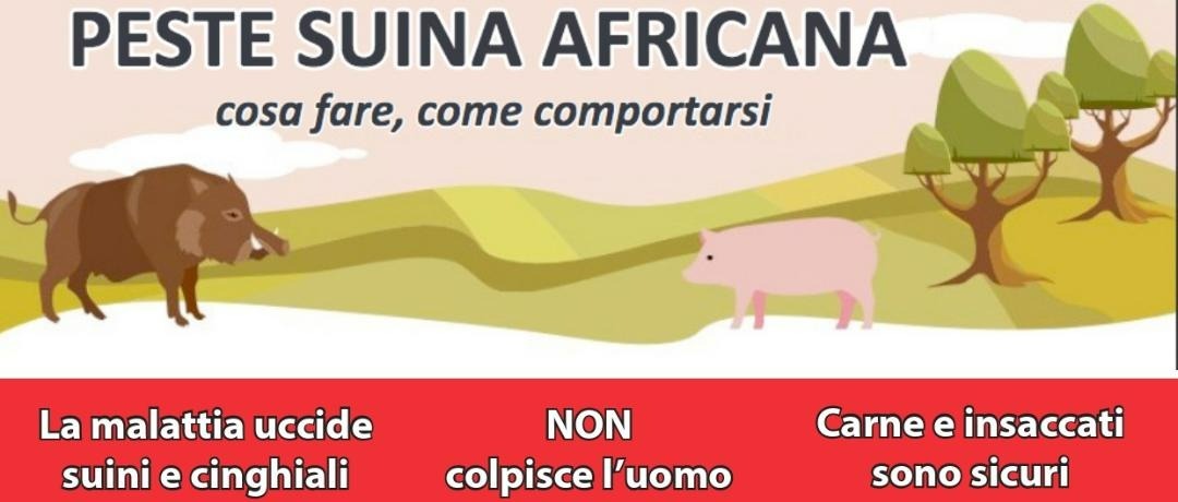 Peste Suina Africana: attive le misure di restrizione per tutelare il territorio