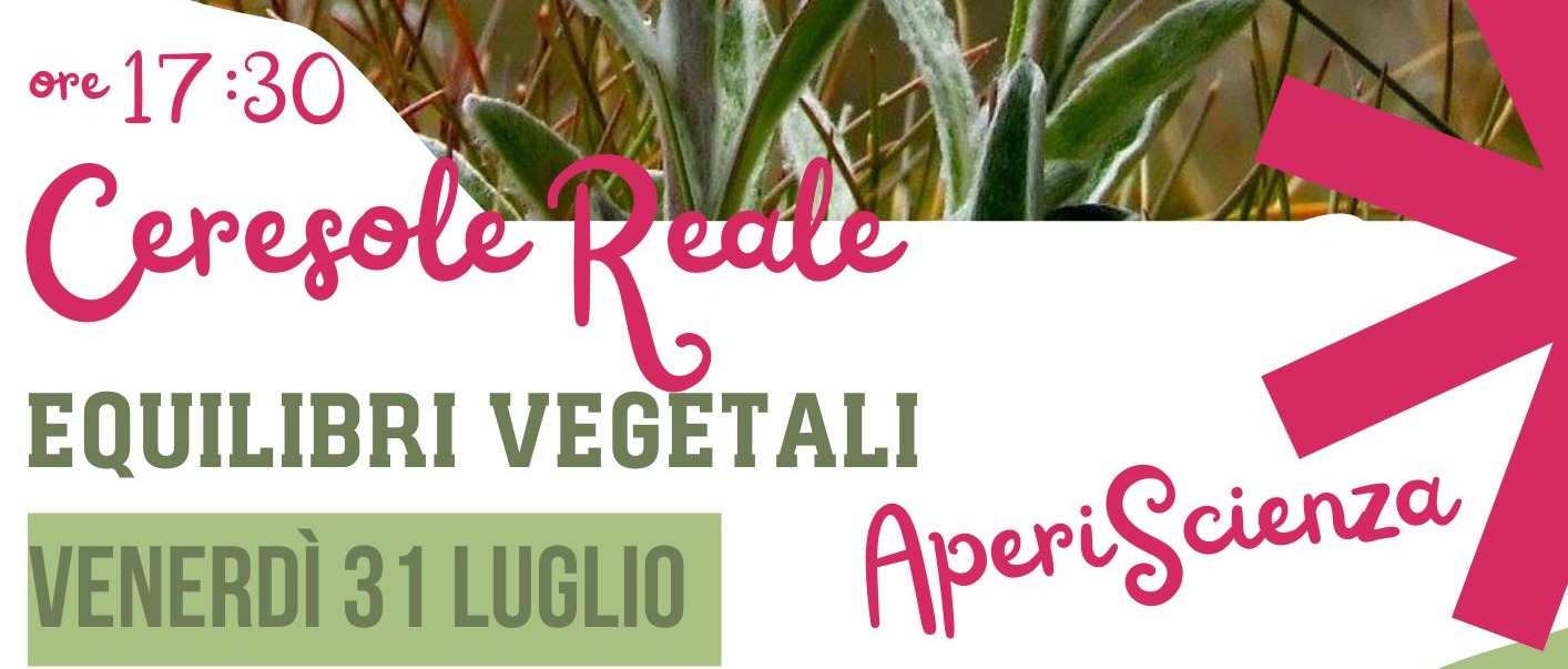 Immagine principale