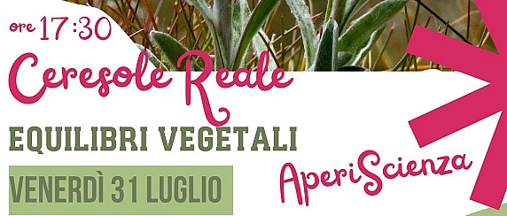 Immagine non trovata
