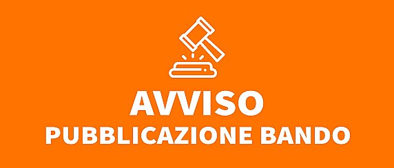 AVVISO PUBBLICO DI MANIFESTAZIONE DI INTERESSE per l'individuazione di un Ente del Terzo Settore disponibile a partecipare al procedimento di co-progettazione, ai sensi dell'articolo 55 del Decreto Legislativo 3 luglio