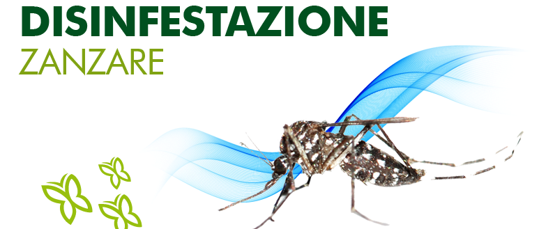 Immagine principale