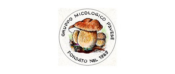Corso di “Preparazione micologica di base” 2026 - Secondo Incontro -  Iscrizione entro 6 settembre 2026.