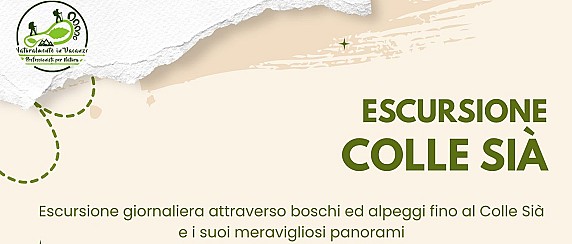 Immagine non trovata