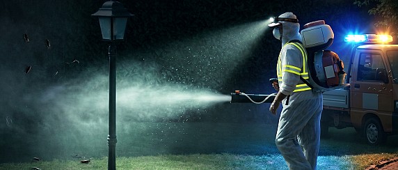 Disinfestazione contro zanzare, mosche, vespe, calabroni e blatte