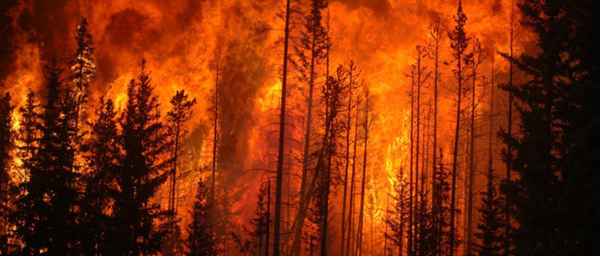 INCENDI BOSCHIVI