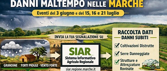 Eventi meteorologici avversi del giugno-luglio 2026.
