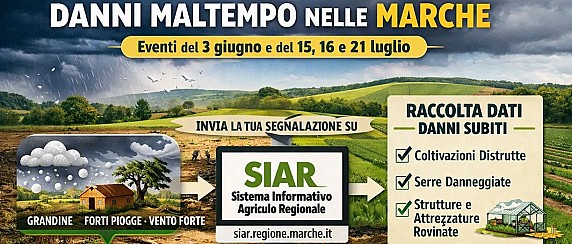Segnalazione danni da maltempo subiti dal settore agricolo