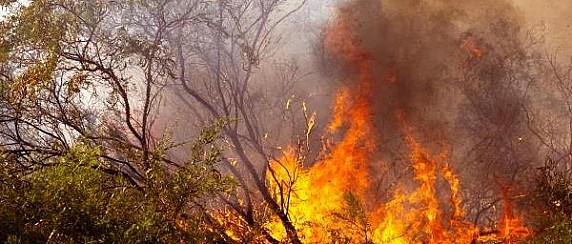 Raccomandazioni per la prevenzione degli incendi boschivi in relazione alle attuali condizioni meteorologiche