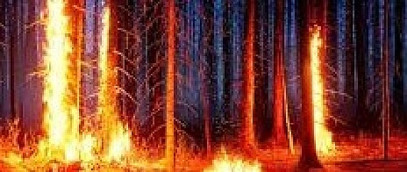 Attenzione – Prevenzione incendi boschivi