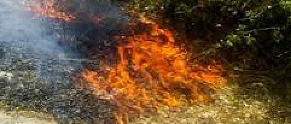 Raccomandazioni per la prevenzione degli incendi boschivi in relazione alle attuali condizioni meteorologiche
