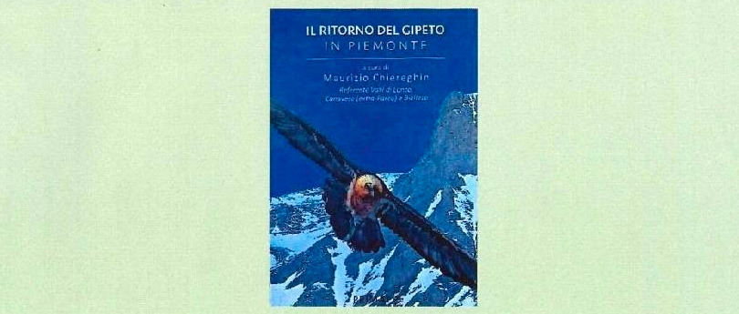 Immagine principale