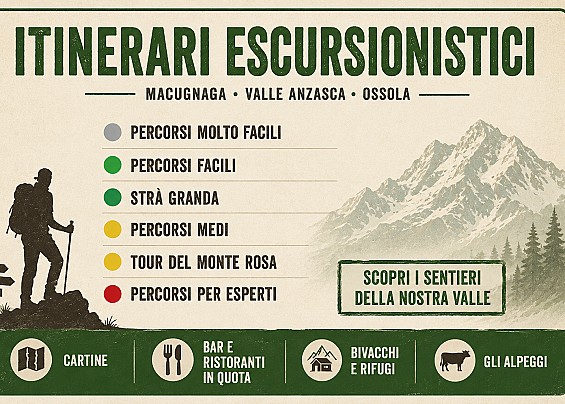 Immagine non trovata
