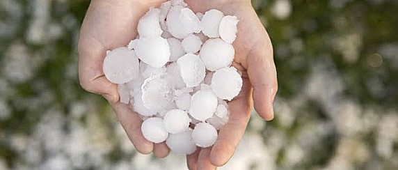 Eventi meteorologici avversi del giugno-luglio 2026. Indicazioni operative per la segnalazione dei danni subiti dal settore agricolo tramite il Sistema Informativo Agricolo Regionale (SIAR).