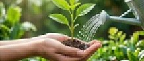 Consumi idrici: l'acqua è una risorsa preziosa, utilizziamola con responsabilità