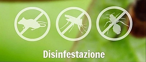 DISINFESTAZIONE e DERATTIZZAZIONE programmata sul territorio del Comune di Norma