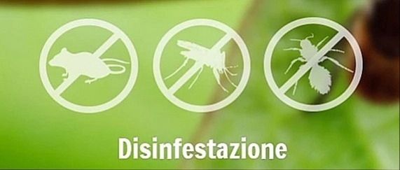 DISINFESTAZIONE e DERATTIZZAZIONE programmata sul territorio del Comune di Norma