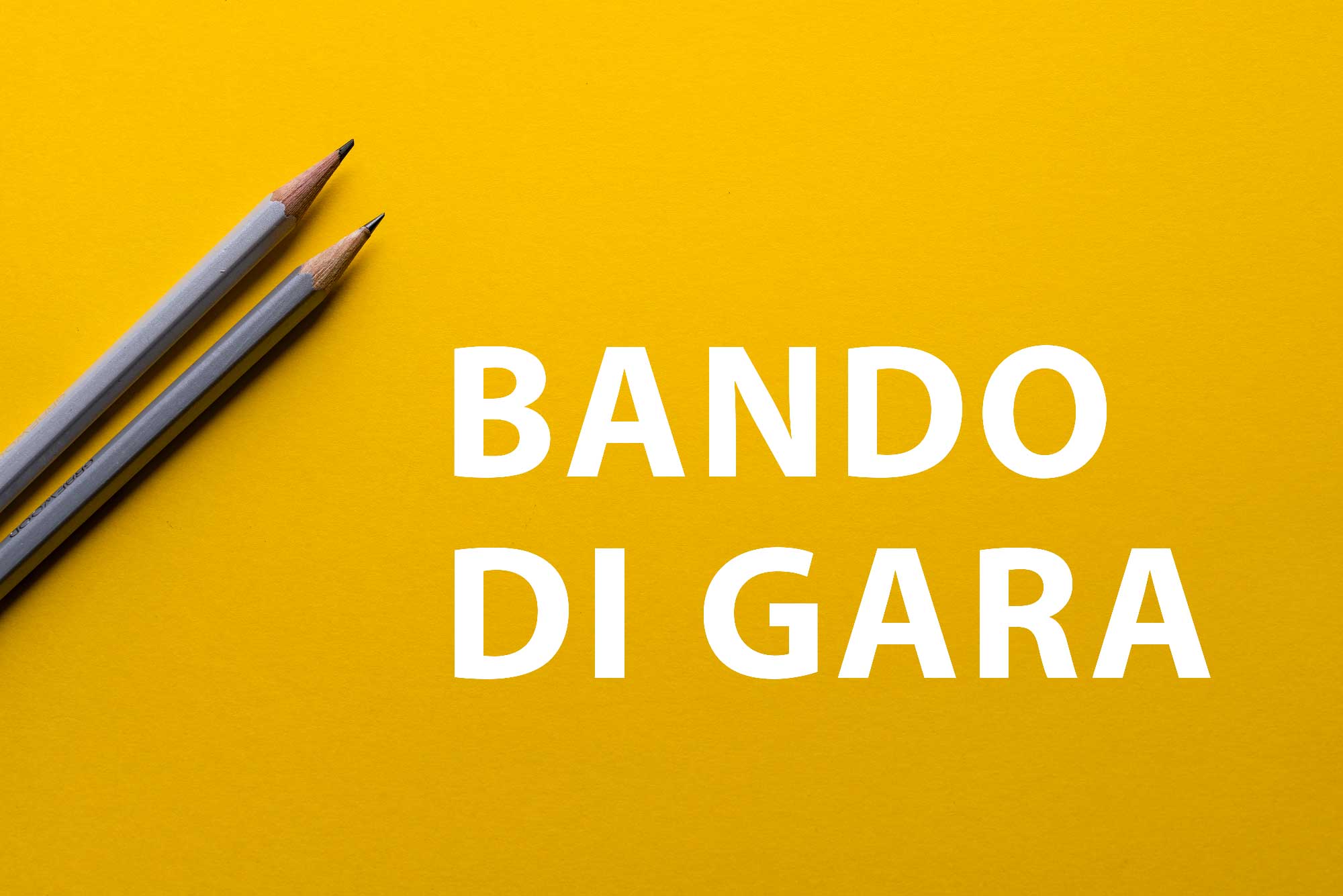 Immagine principale
