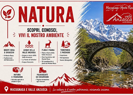 Immagine non trovata