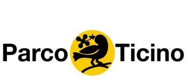 Immagine principale