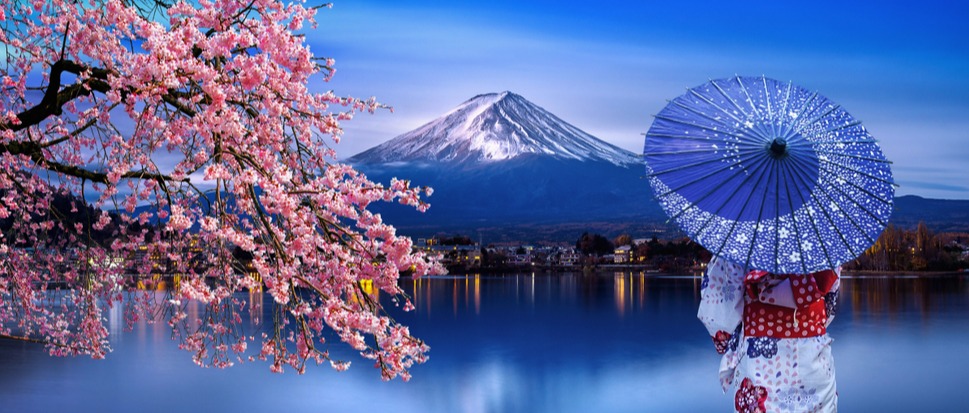 Immagine principale