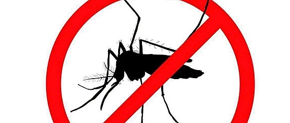 Servizio disinfestazione aree verdi