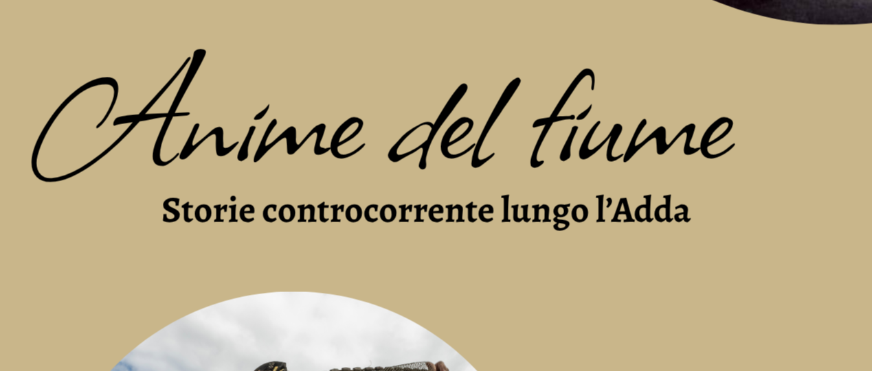 Immagine principale