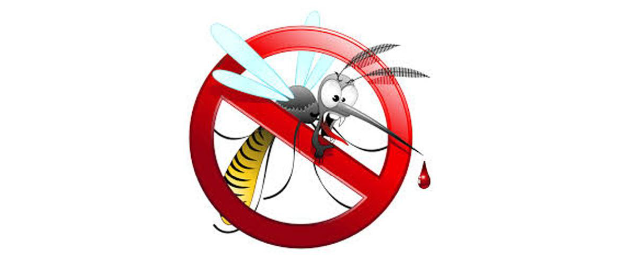 AVVISO DISINFESTAZIONE 11/08/2026