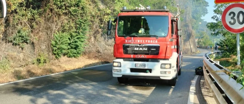 Immagine principale