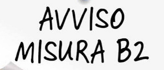 Fondo Non Autosufficienza (Misura B2)
