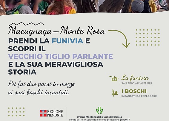 Immagine non trovata