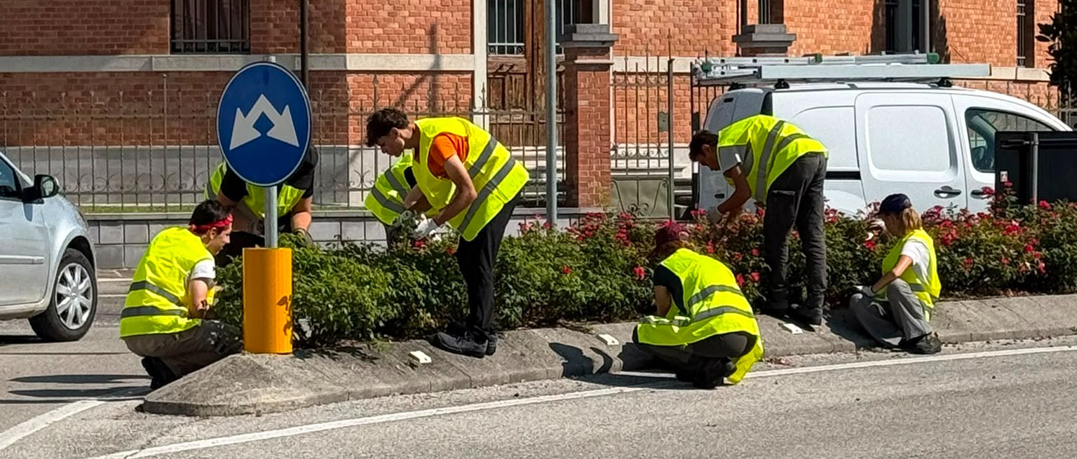 Immagine principale