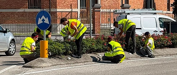 Work in Progress: si conclude con successo l’edizione 2026