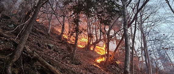 Raccomandazioni prevenzione incendi boschivi