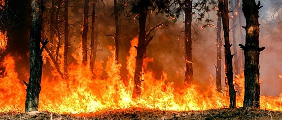 Dichiarazione periodo ad alto rischio di incendio boschivo stagione estiva 2026 su tutto il territorio regionale