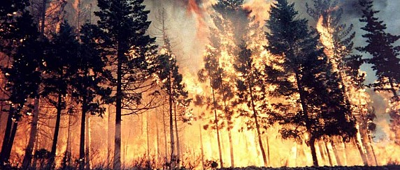 Raccomandazioni prevenzione incendi boschivi